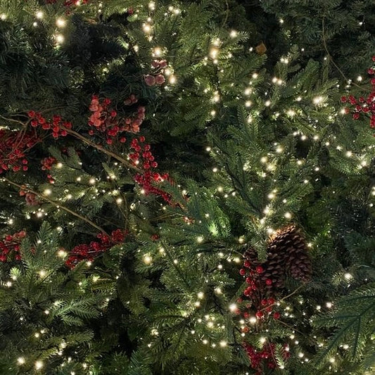 Fragancia Abeto Navideño