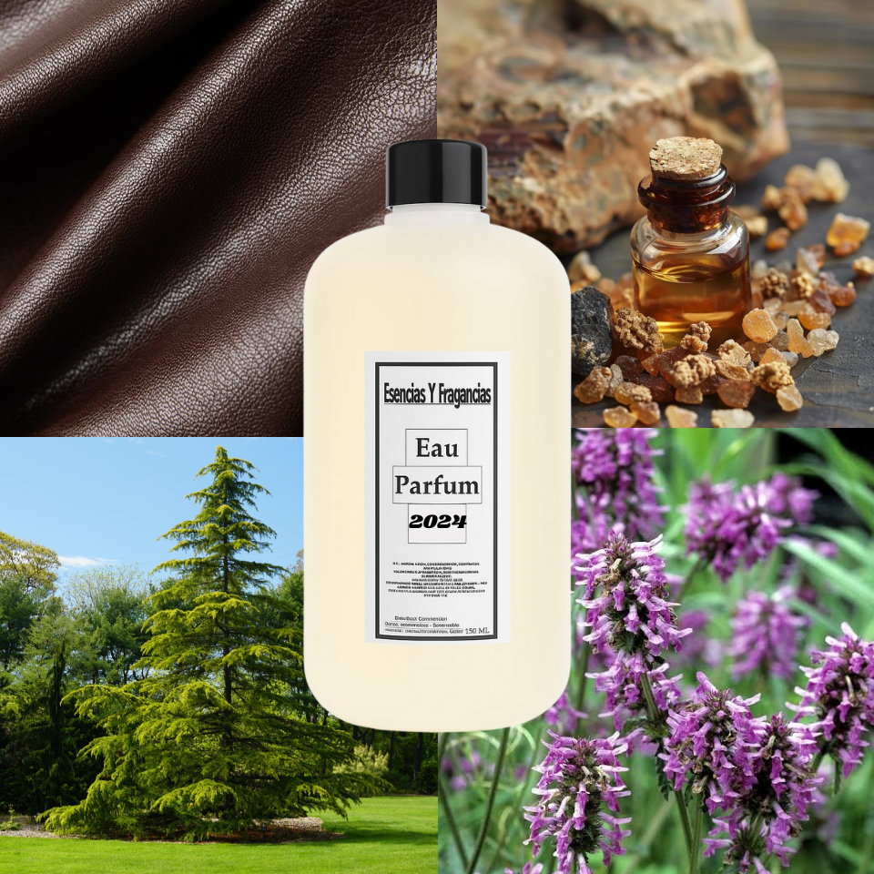 PERFUME EQUIVALENTE BOTTLED ABSOLU DE HUGO BOSS 500 ML