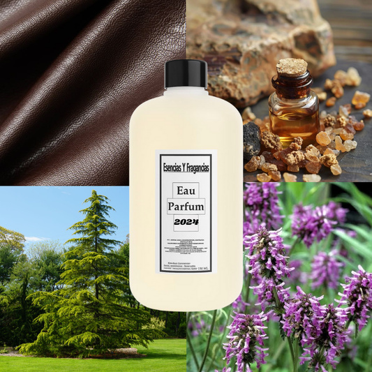 PERFUME EQUIVALENTE BOTTLED ABSOLU DE HUGO BOSS 500 ML