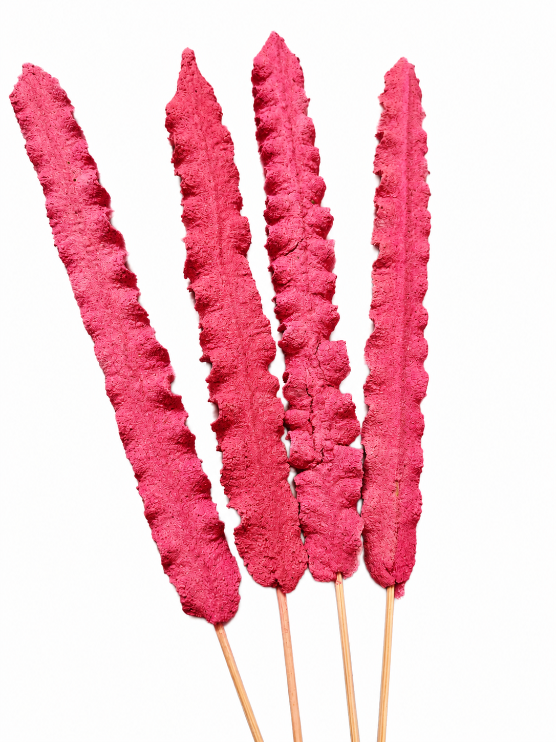 Incienso dulce hogar, 4 plumas
