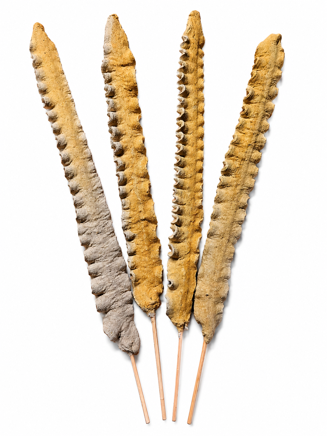 Incienso Jazmín , 4 plumas